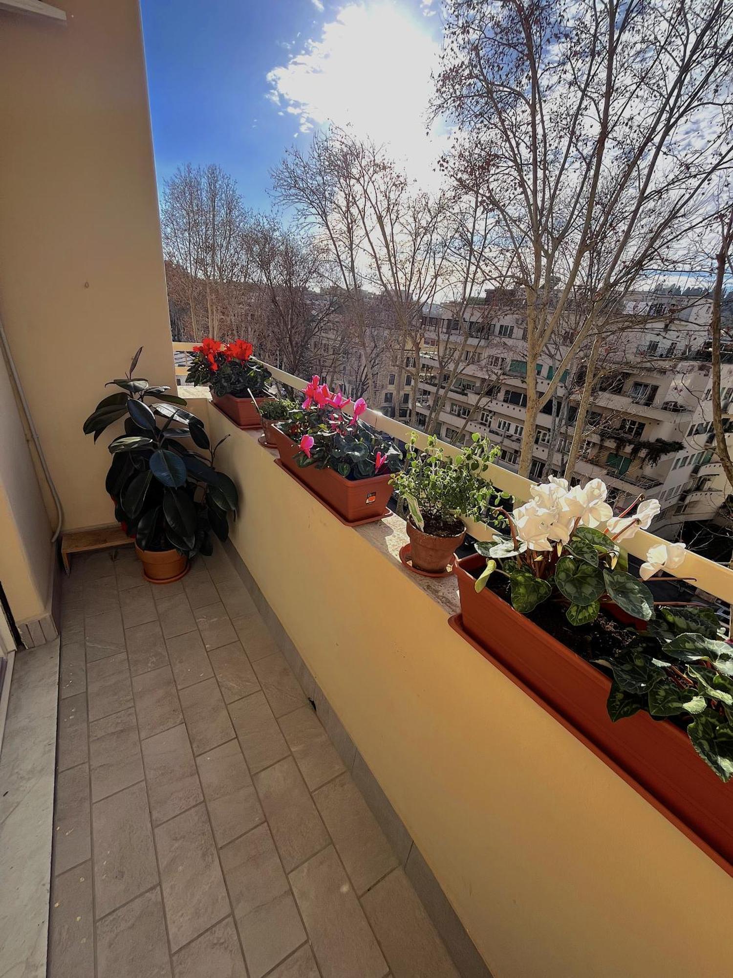 Apartment Angelico